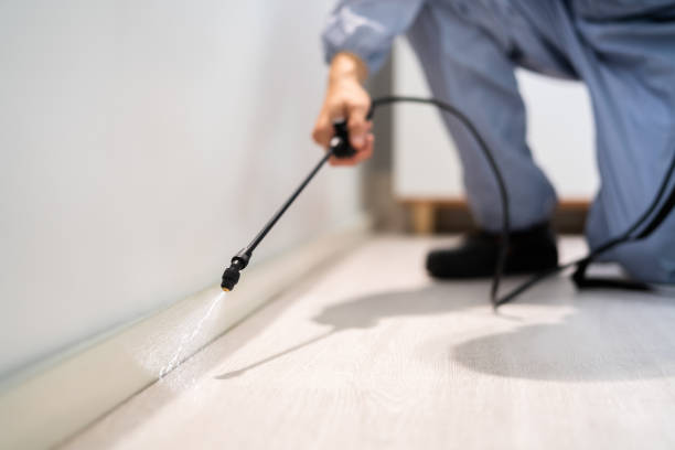 Licensed Fumigation Services service in Hidalgo County County, TX - Nex Pest Control